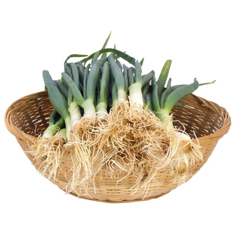 Zöldhagyma (csomag)